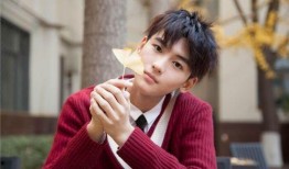 夏之光黄俊捷最新爆料,揭秘幕后故事与精彩瞬间